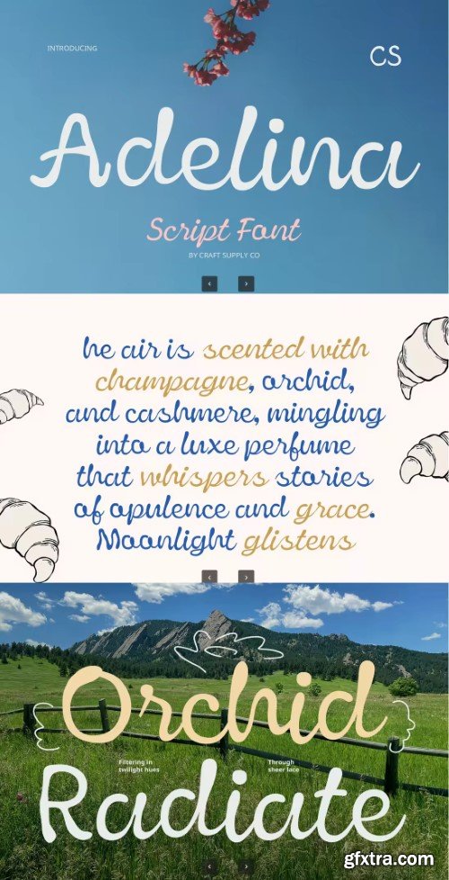 Adelina – Script Font Adelina – Script Font