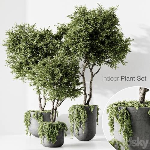 '3dsky Pro - indoor plant' '3dsky Pro - indoor plant'