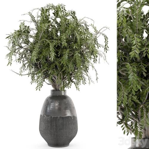 '3dsky Pro - Bouquet Plants in rusty Concrete Pots - Set 562' '3dsky Pro - Bouquet Plants in rusty Concrete Pots - Set 562'