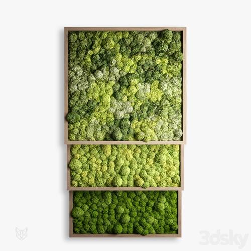 '3dsky Pro - panels of moss' '3dsky Pro - panels of moss'