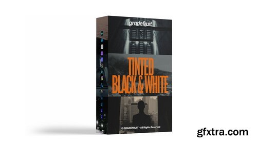 GradeFruit - Master Bundle 500+ Cinematic Luts and Lightroom Presets $149