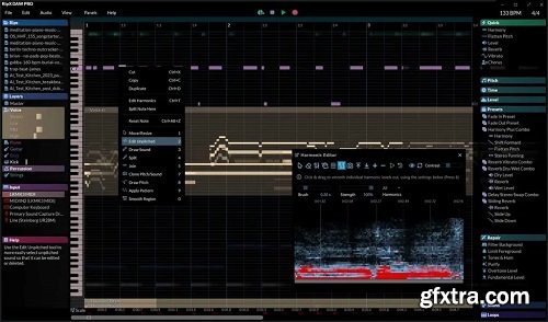 Hit\'n\'Mix Ripx Daw Pro v8.0.3