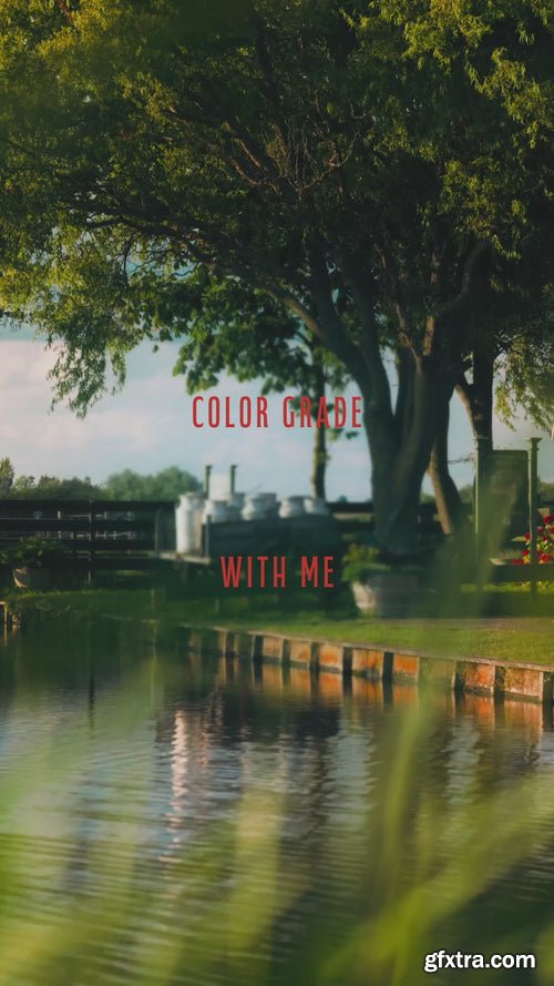 Amar Muric - The Entire Store Collection Amar Muric - The Entire Store Collection