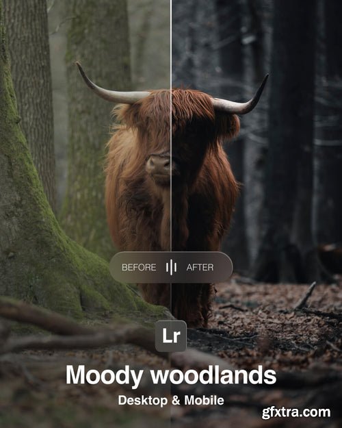 Amar Muric - The Entire Store Collection Amar Muric - The Entire Store Collection