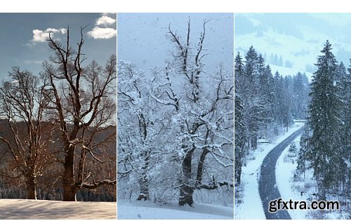 Artlist - Winter Wonderland - 4K ProRes Collections