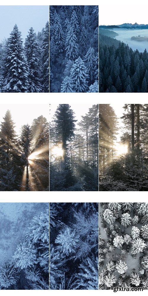 Artlist - Winter Wonderland - 4K ProRes Collections