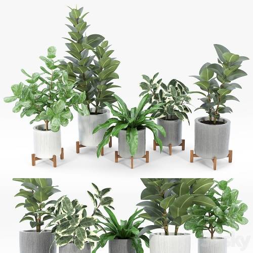 '3dsky Pro - Bungalow planter collection'