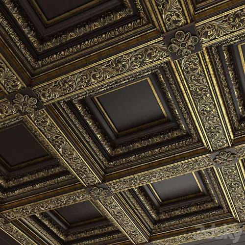 '3dsky Pro - Caisson ceiling Rodin'