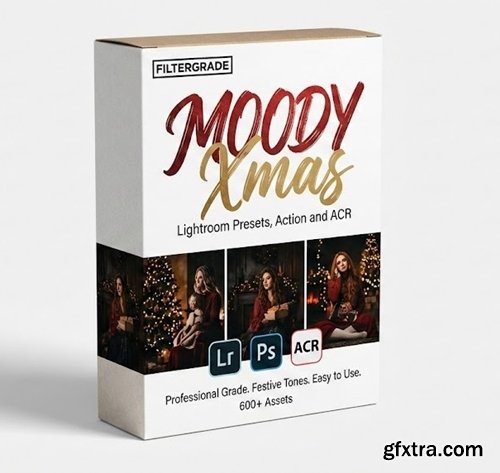 Filtergrade - Moody Xmas Lightroom Presets ,Action and ACR