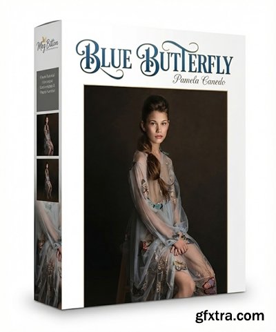 Meg Bitton - Blue Butterfly - Pamela Canedo