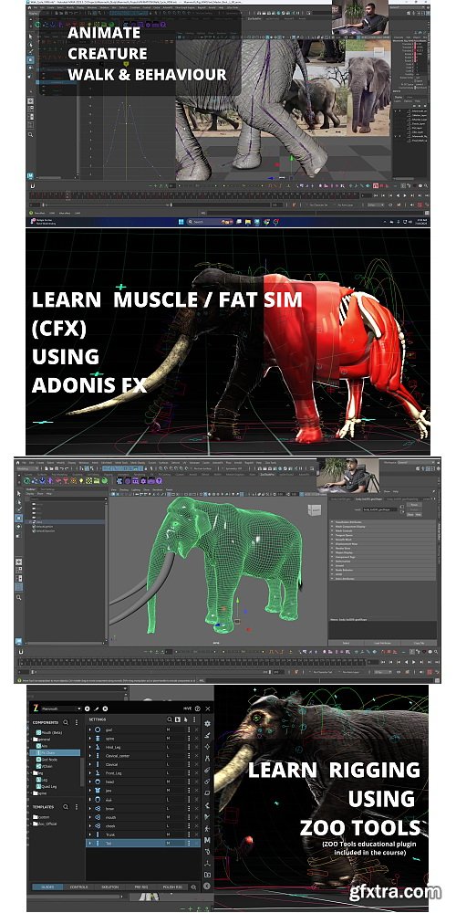 Gumroad - Digital Art Courses - 3D Creature Production: Rigging, Animation, CFX Gumroad - Digital Art Courses - 3D Creature Production: Rigging, Animation, CFX