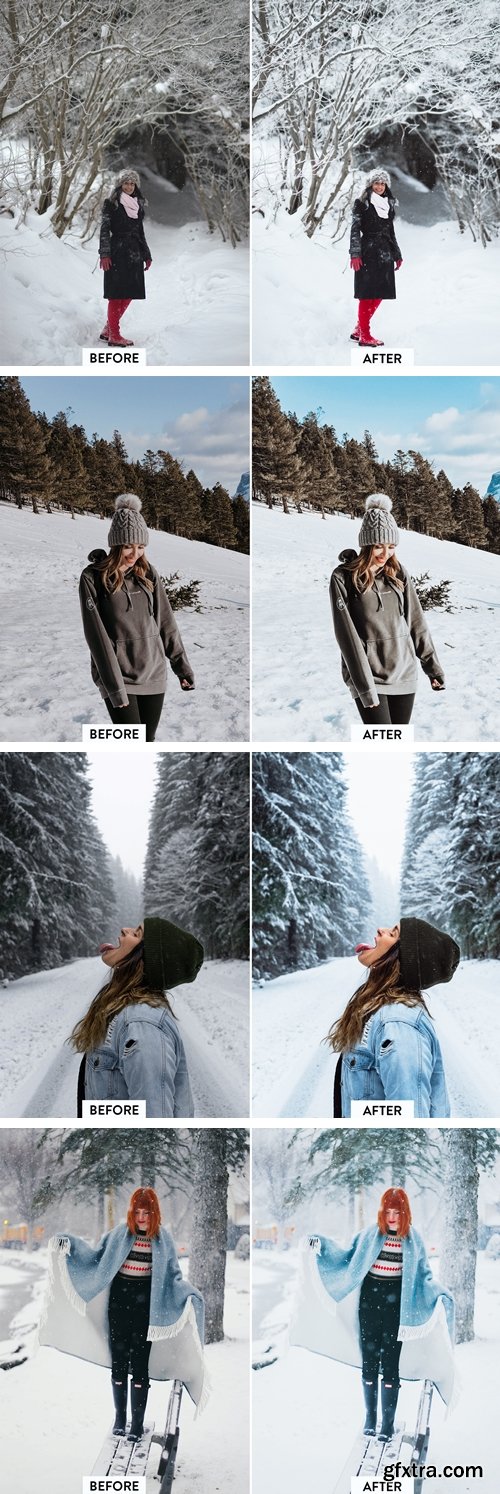 Filtergrade - Cold Winter Lightroom Preset