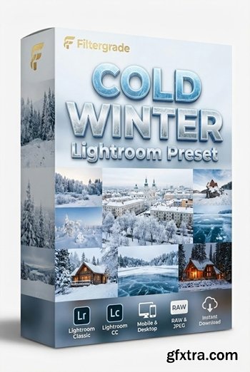 Filtergrade - Cold Winter Lightroom Preset