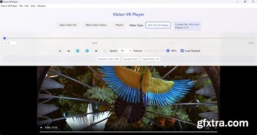 Cainey Studio Vision VR Player 6.6.1.0