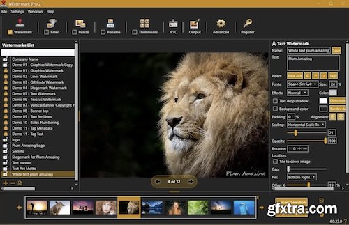 iWatermark Pro 2 v4.0.34