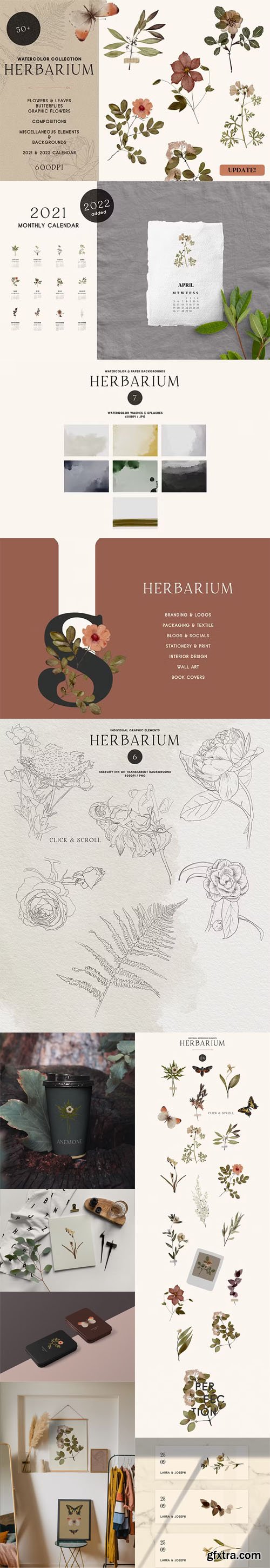 Watercolor Herbarium Pressed Dry Flowers vol.1