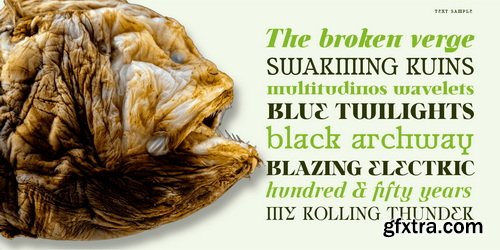 Ultion Font Family 21xOTF $199