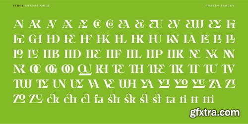 Ultion Font Family 21xOTF $199