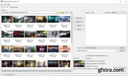 FastStone Photo Resizer 4.5 Corporate