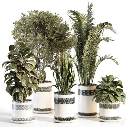 '3dsky Pro - indoor plant 02'