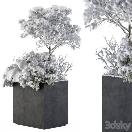 '3dsky Pro - Outdoor Plants tree in Concrete Pot Snow - Set 108'