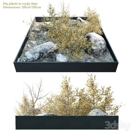 '3dsky Pro - Dry plants in rocky base'