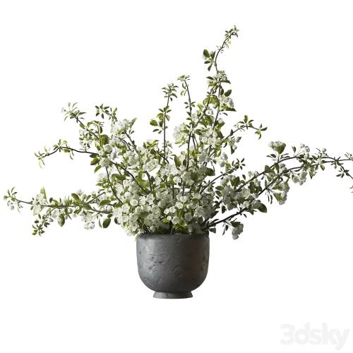'3dsky Pro - Bouquet of flowering branches in a clay vase'