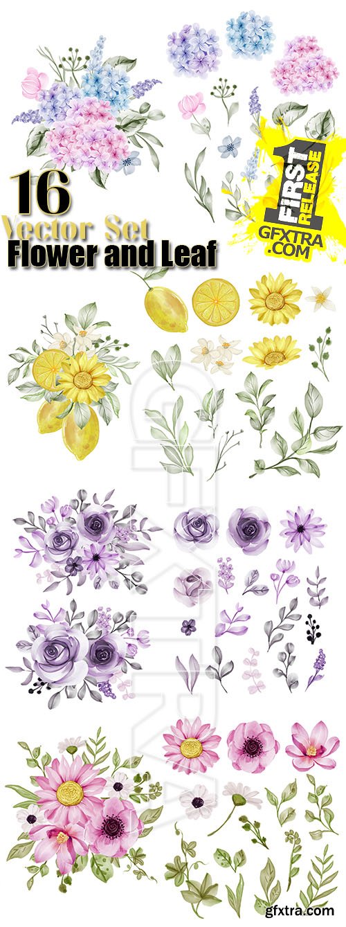 Set of flower and leaf isolated 16 vector set