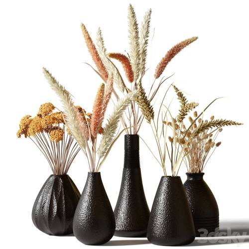 '3dsky Pro - Set of bouquets of dried flowers in black clay vases'
