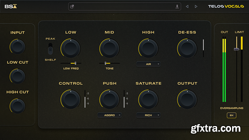Black Salt Audio Telos Vocals v1.0.12