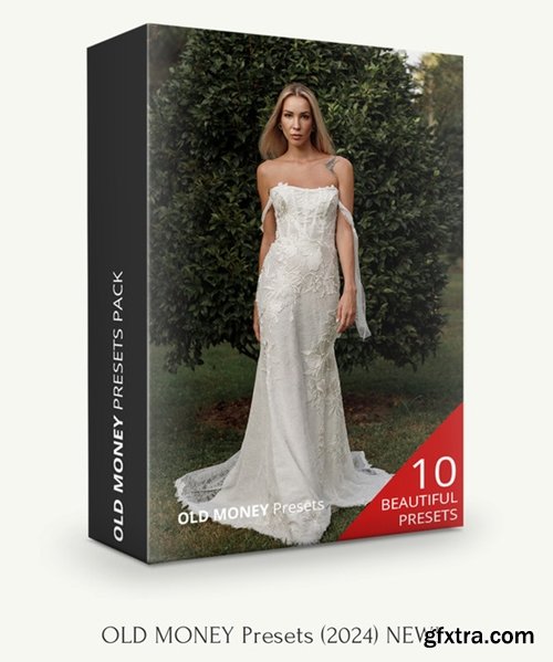 Pavel Vozmishchev - OLD MONEY Presets