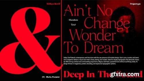 CreativeMarket - Volkys Serif - 19 Fonts