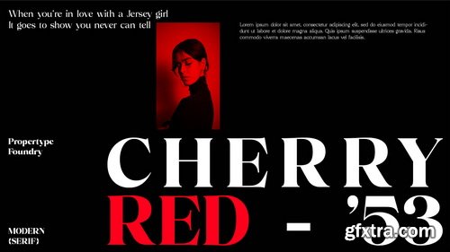 CreativeMarket - Volkys Serif - 19 Fonts