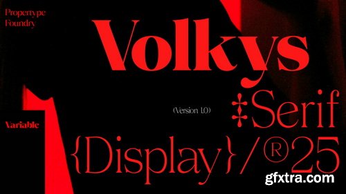 CreativeMarket - Volkys Serif - 19 Fonts