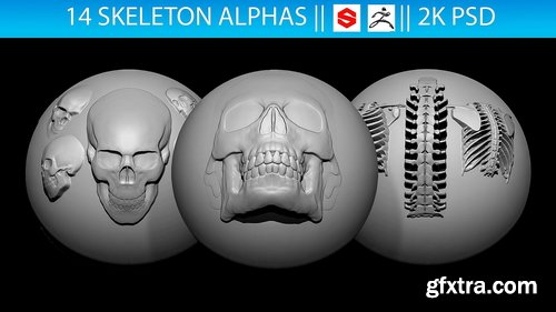 Artstation - 14 Skeleton Alphas Vol.2 (ZBrush, Substance, 2K)