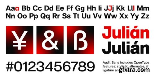 Audit Sans Font Family $197