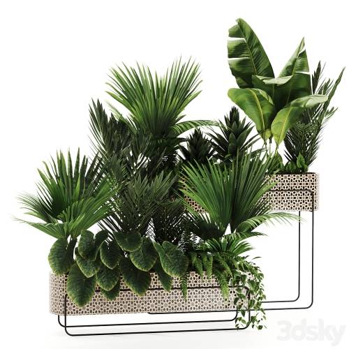 '3dsky Pro - Indoor plants in box set-70'