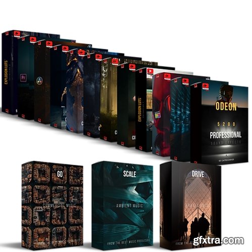 Paramount Motion - All-in-one Creator Bundle