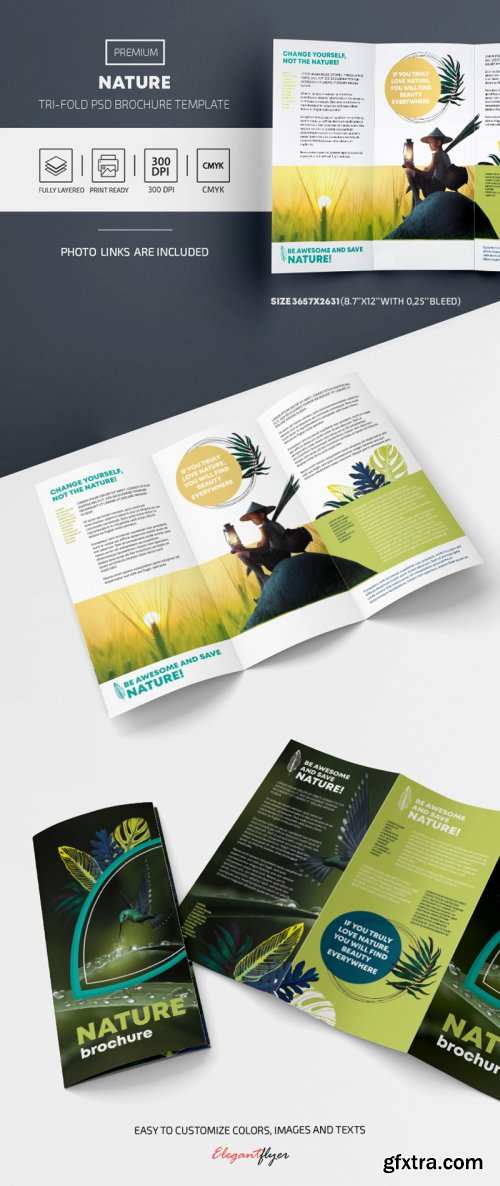Nature Tri-Fold Brochure Template