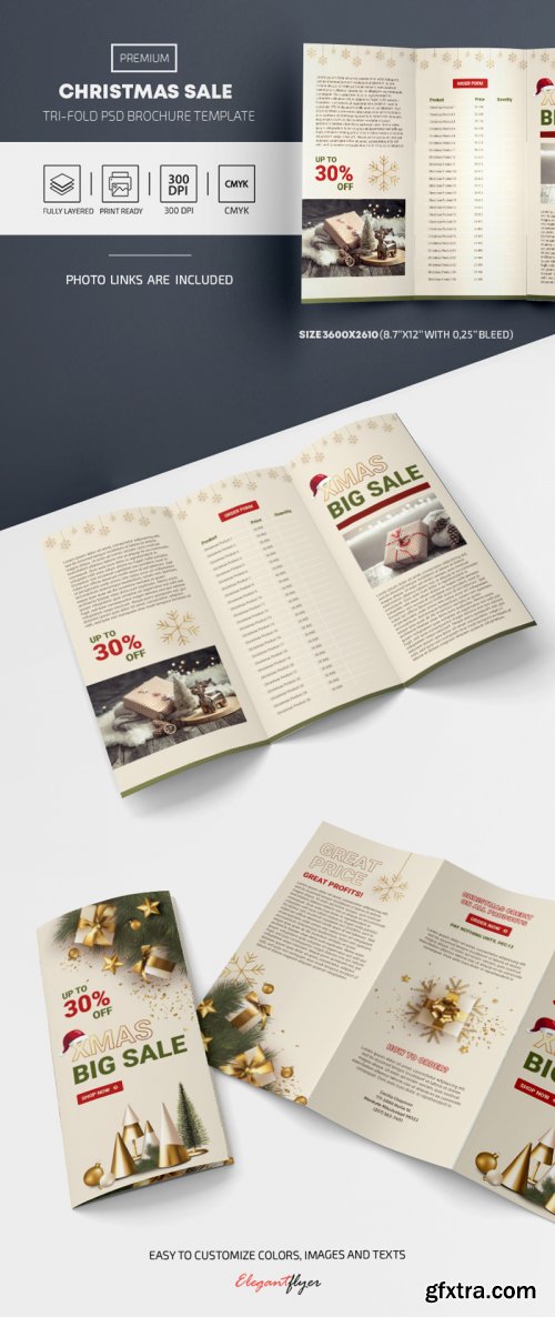 Tri-Fold Brochure Christmas Sale