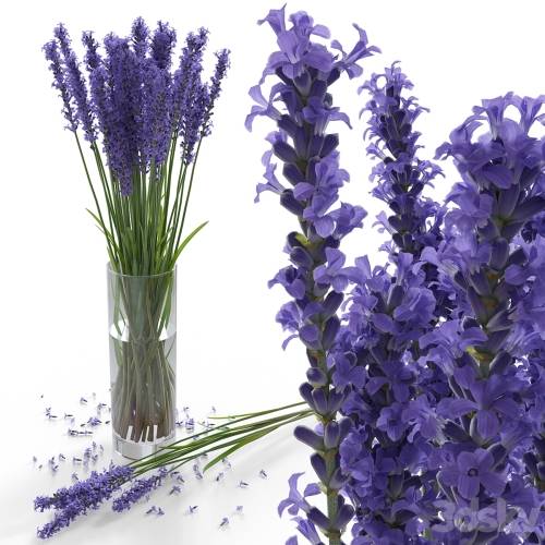 '3dsky Pro - Lavender Bouquet'