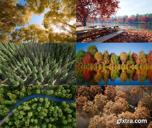 SuperhiveMarket - Trees v1.1