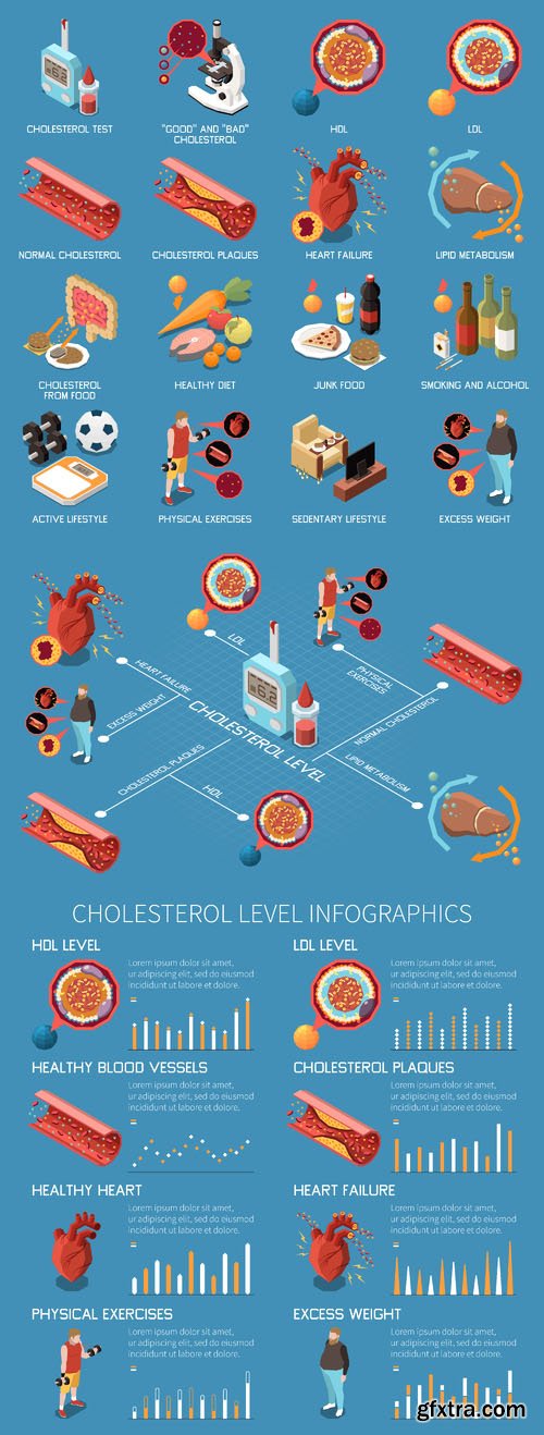 Vector cholesterol isometric icons set with hdl Vector cholesterol isometric icons set with hdl