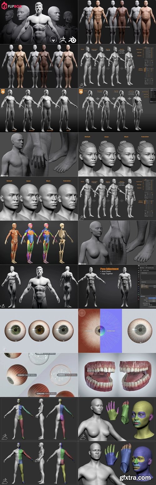 Flipped Normals - The Ultimate Character Basemesh & Anatomy FlipBox