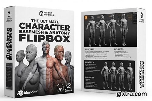 Flipped Normals - The Ultimate Character Basemesh & Anatomy FlipBox