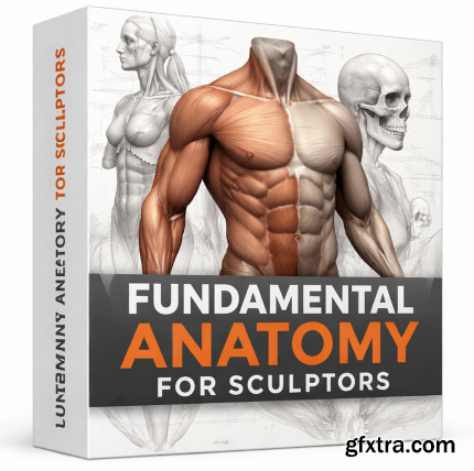 Udemy - Fundamental Anatomy for Sculptors