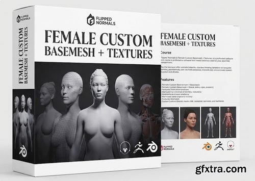 Flipped Normals - Female Custom Basemesh + Textures