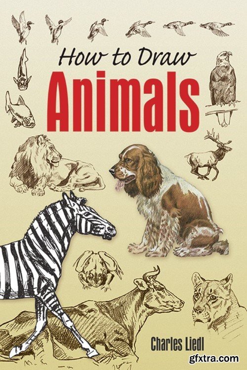 How to Draw Animals (Dover Art Instruction)