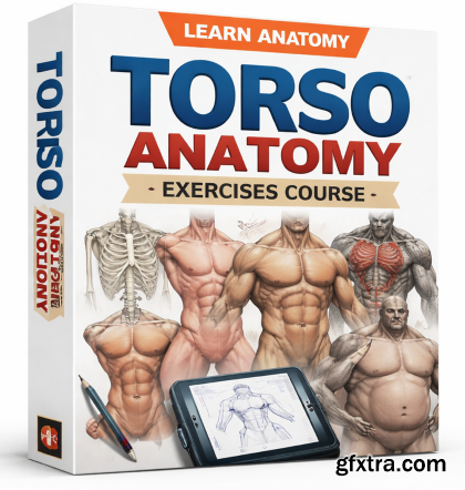 Udemy - Torso Anatomy Exercises Course
