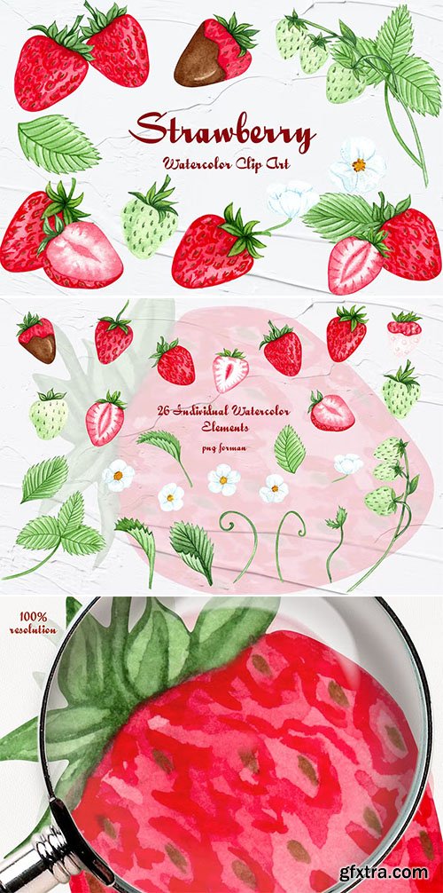 Strawberry Watercolor Clipart
